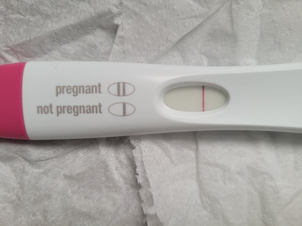 Home Pregnancy Test