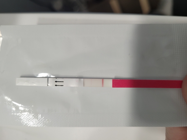 Home Pregnancy Test, 9 Days Post Ovulation