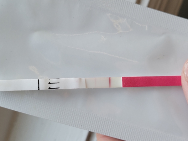 Home Pregnancy Test