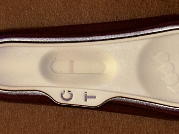 Home Pregnancy Test