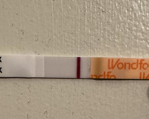 Home Pregnancy Test