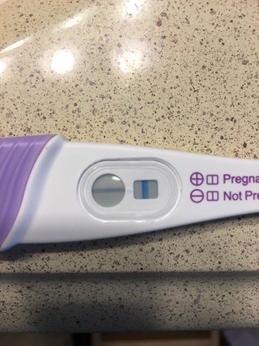e.p.t. Pregnancy Test