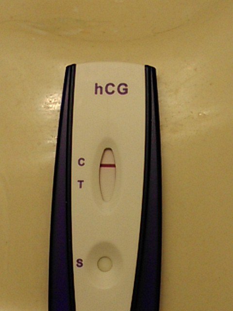 Home Pregnancy Test