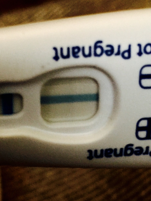 Clearblue Plus Pregnancy Test, 12 Days Post Ovulation, FMU, Cycle Day 29