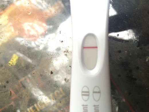 Home Pregnancy Test