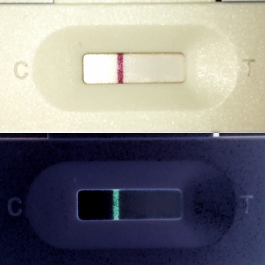 New Choice Pregnancy Test, 9 Days Post Ovulation