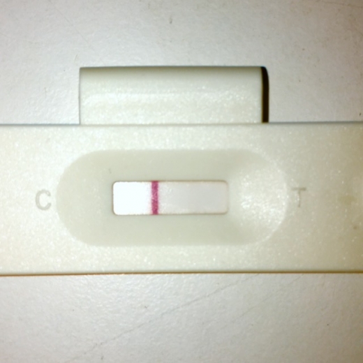 Generic Pregnancy Test, 9 Days Post Ovulation