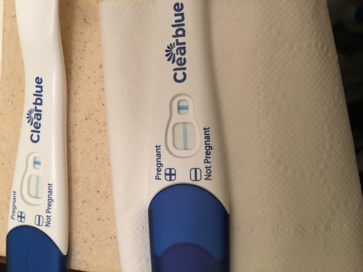 Clearblue Plus Pregnancy Test