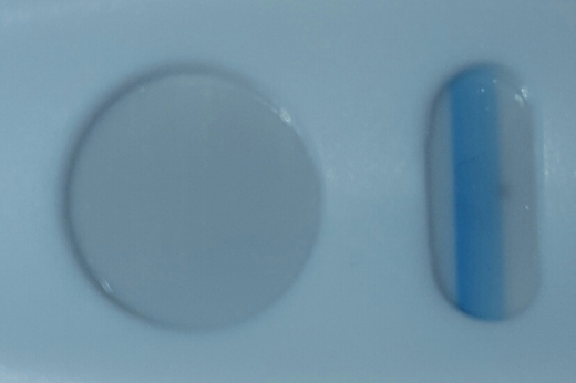 Equate One Step Pregnancy Test, 21 Days Post Ovulation, Cycle Day 42