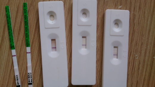 Home Pregnancy Test