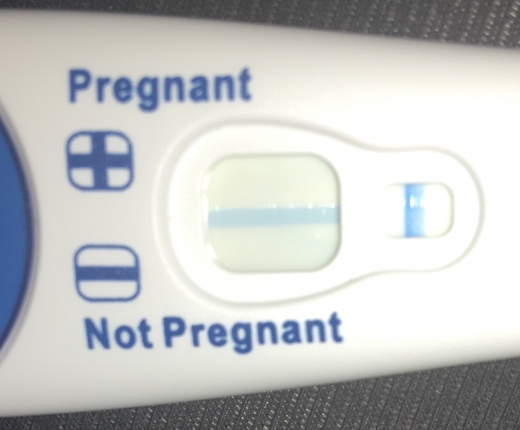 Clearblue Plus Pregnancy Test