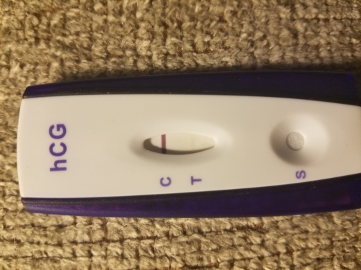 New Choice (Dollar Tree) Pregnancy Test