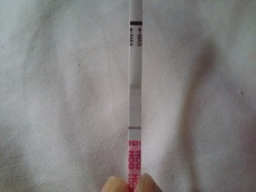 Wondfo Test Strips Pregnancy Test, 6 Days Post Ovulation, FMU, Cycle Day 18