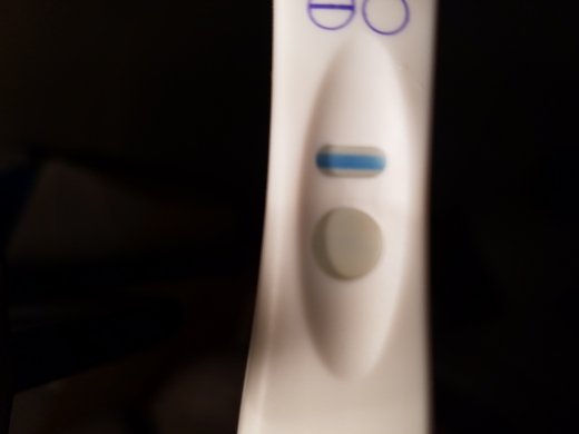 Home Pregnancy Test