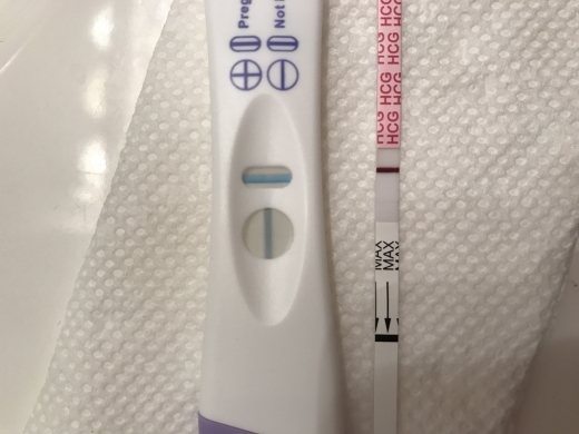 Home Pregnancy Test