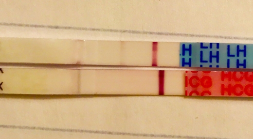 Wondfo Test Strips Pregnancy Test, 6 Days Post Ovulation, Cycle Day 20