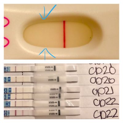 First Response Early Pregnancy Test, 8 Days Post Ovulation, Cycle Day 22