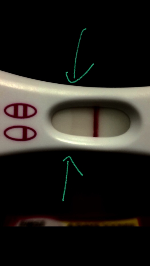 First Response Early Pregnancy Test