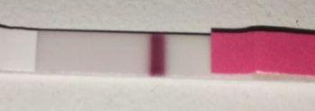 Home Pregnancy Test