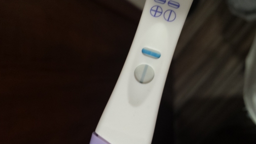 Home Pregnancy Test