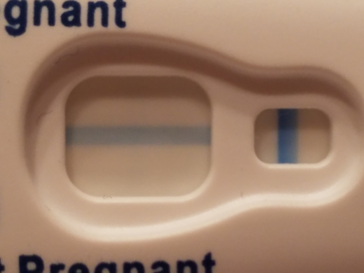 Clearblue Plus Pregnancy Test, 12 Days Post Ovulation