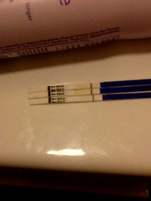 U-Check Pregnancy Test, 10 Days Post Ovulation, Cycle Day 22