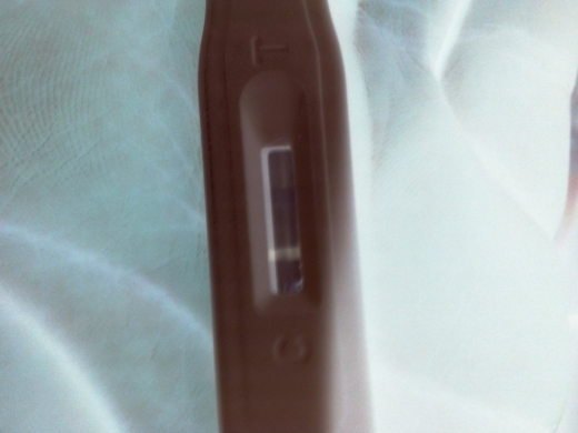 Home Pregnancy Test