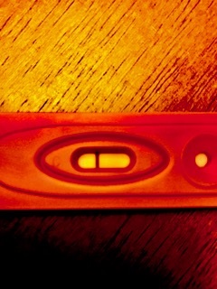 Generic Pregnancy Test, 11 Days Post Ovulation