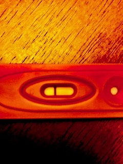 Generic Pregnancy Test, 11 Days Post Ovulation