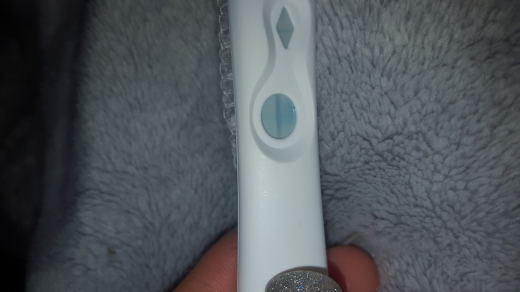 Clearblue Plus Pregnancy Test