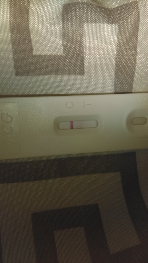 Home Pregnancy Test