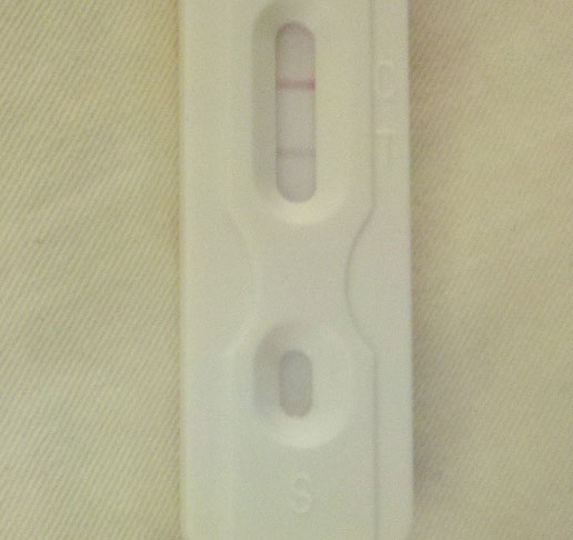 New Choice (Dollar Tree) Pregnancy Test, 11 Days Post Ovulation, FMU