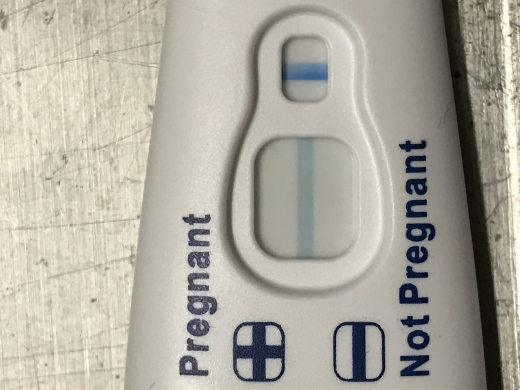 Home Pregnancy Test