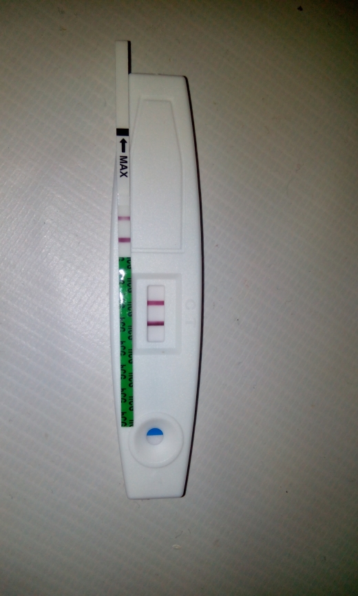 Home Pregnancy Test