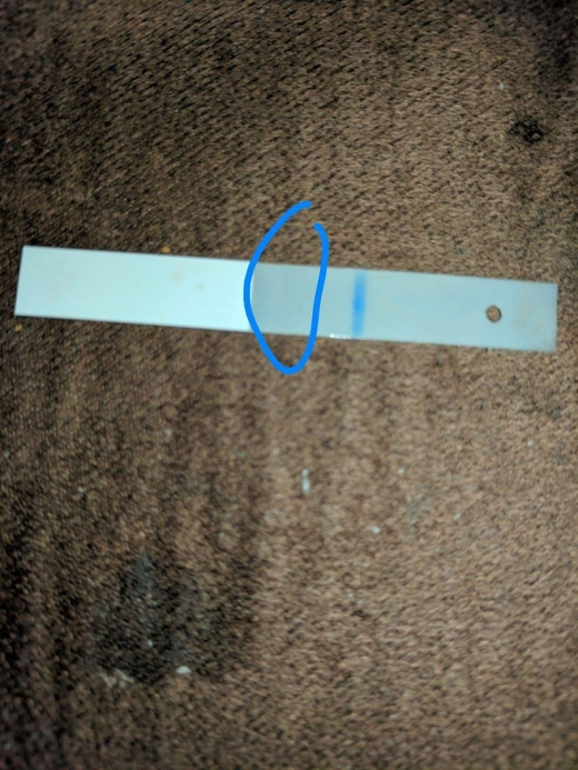 Equate One Step Pregnancy Test, 9 Days Post Ovulation