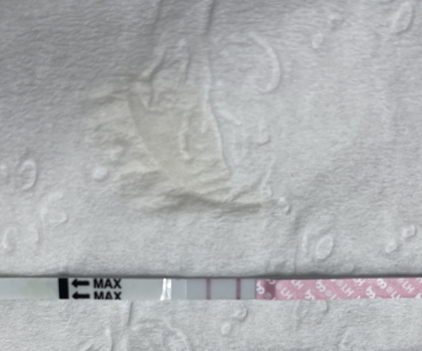 Generic Ovulation Test, Tested cycle day 31