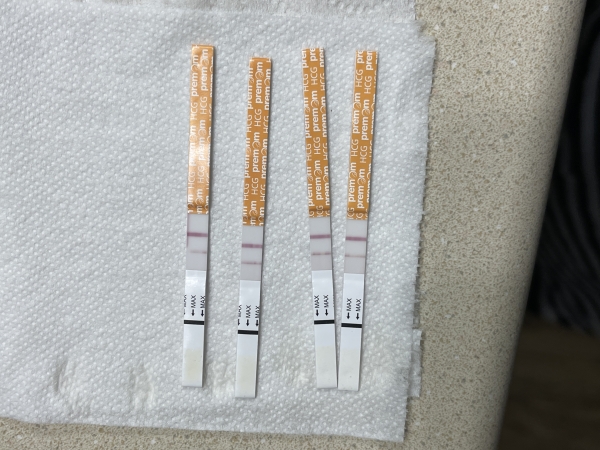 Generic Ovulation Test, Tested cycle day 12