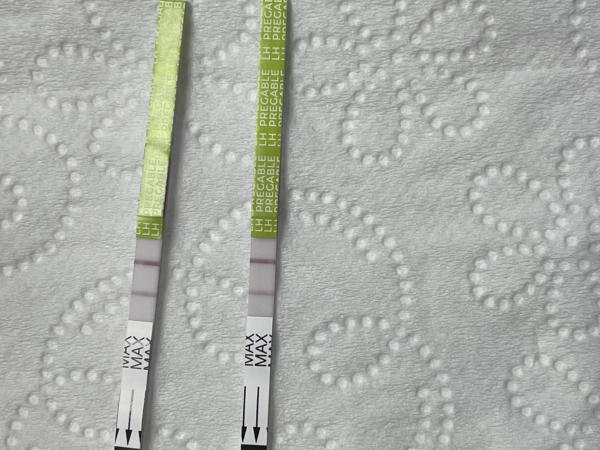 Pregmate Ovulation Test, Tested cycle day 19
