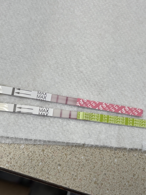 Generic Ovulation Test, Tested cycle day 18