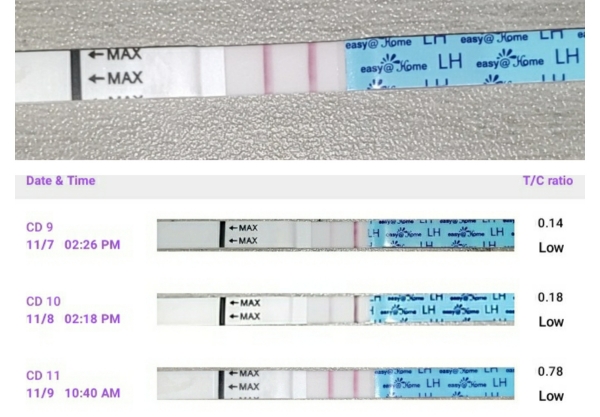 Easy-At-Home Ovulation Test, Tested cycle day 11