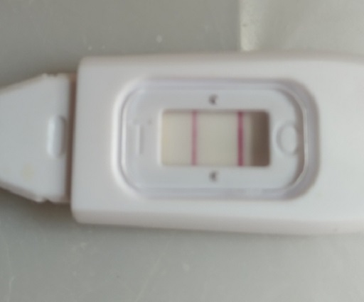 Walgreens Ovulation Test, Tested cycle day 15