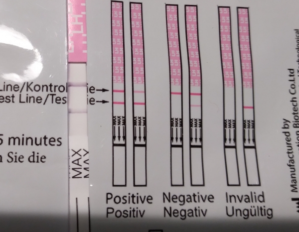 MomMed Ovulation Test, Tested cycle day 12