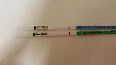 Home Pregnancy Test, 12 Days Post Ovulation, Cycle Day 24