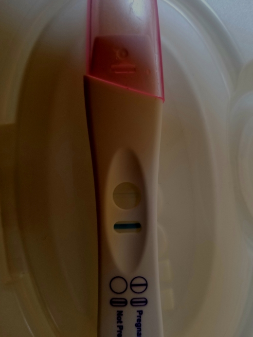 Home Pregnancy Test