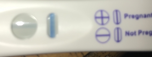 e.p.t. Pregnancy Test, FMU