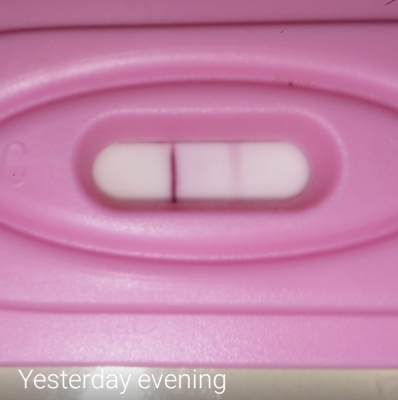 New Choice (Dollar Tree) Pregnancy Test, 21 Days Post Ovulation