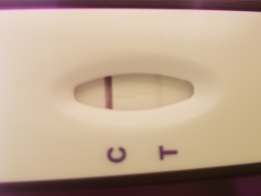 New Choice (Dollar Tree) Pregnancy Test, FMU, Cycle Day 27