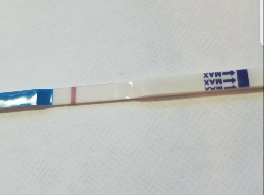 Generic Pregnancy Test, 10 Days Post Ovulation, FMU
