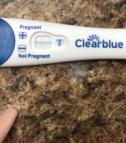 Clearblue Plus Pregnancy Test, 21 Days Post Ovulation, Cycle Day 31