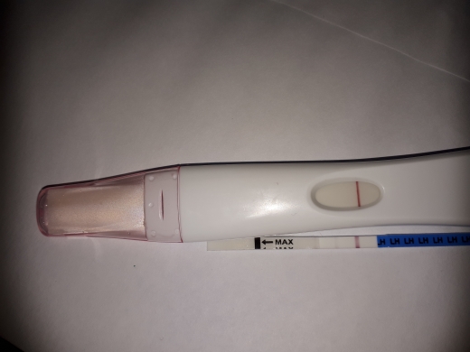 First Response Rapid Pregnancy Test, 9 Days Post Ovulation, FMU